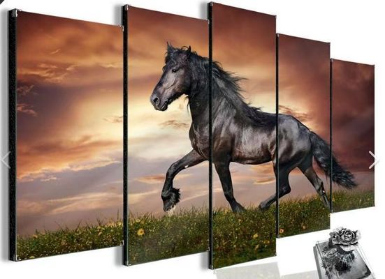 Sanatsal Özgürlüğe Sahip Çok Açılı 20W HDMI Video Duvar Denetleyicisi